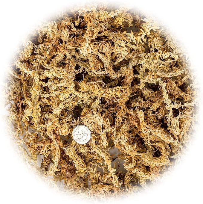 Gardenera Premium New Zealand Sphagnum Moss - Organic Hand Mixed Long Fibered Sphagnum Moss Orchid - 3 Quart