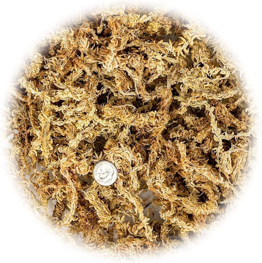 Gardenera Premium New Zealand Sphagnum Moss - Organic Hand Mixed Long Fibered Sphagnum Moss Orchid - 3 Quart