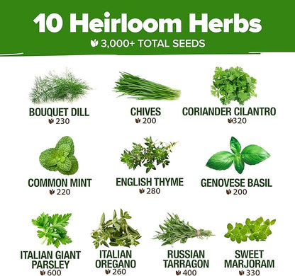 HOME GROWN 10 Herb Seeds for Planting 3,000+ Non-GMO Heirloom Seeds | Extra Large Variety Pack Herb Kit – Indoor Outdoor & Hydroponic | Culinary Seed Set | Grow Your Own Herbs | Gift for Beginners