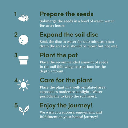 Planter's Choice Bonsai Tree Kit for Beginners & Plant Lovers - Grow Your Own Bonsai from Seed, 4 Species Starter Kit with Burlap Pots, Shears, Soil Disc, Markers & Guide, Gift for Mom or Grandma