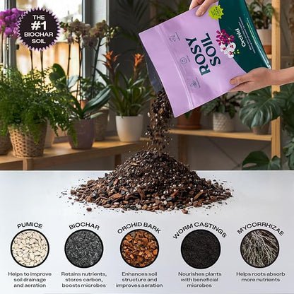 Rosy Soil Orchid Potting Mix - Biochar & Mycorrhizae Blend, Peat-Free Orchid Soil for Repotting, Phalaenopsis, Cattleya, Dendrobium - Ideal for Indoor Gardening - 4 Quarts