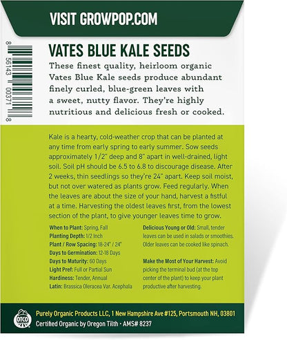 Organic Kale Seeds (Vates Blue Scotch Curled) - Approx 500 Seeds - USDA Organic, Non-GMO, Open Pollinated, Heirloom, USA Origin (Pack of 2)