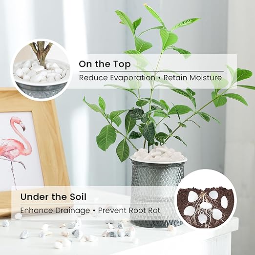 SIDONG 20 lbs White River Rocks, 1.2-2 Inches Matte Pebbles for Indoor Plants, Aquarium Rocks Used in Fish Tank, Decorative Stones for Plants, Vases, Home Décor, Crafting, Garden Landscaping