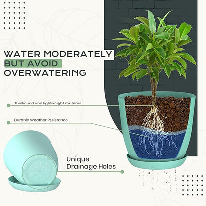 Utopia Home - Plant Pots Indoor with Drainage - 7/6.6/6/5.3/4.8 Inches Home Decor Flower Pots - Plastic Planters for Indoor Plants, Cactus, Succulents Pot (Aqua, Pack of 10)