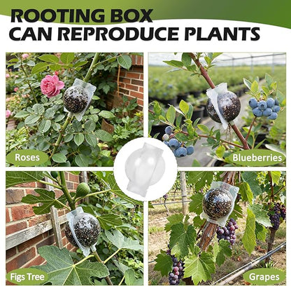 Tree Root Growing Box, Air Layering Pods Propagation Kit, Reusable Half Transparent Plants Asexual Reproduction Grafting Ball with Zip Ties for Fast Propagation Plants (12 Pcs Small)