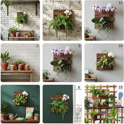Staghorn Fern Mounting Board Kit Wooden Wall Planter Hanging Plant Holder for Vertical Plant,Platycerium,Orchids,Succulents(Square)