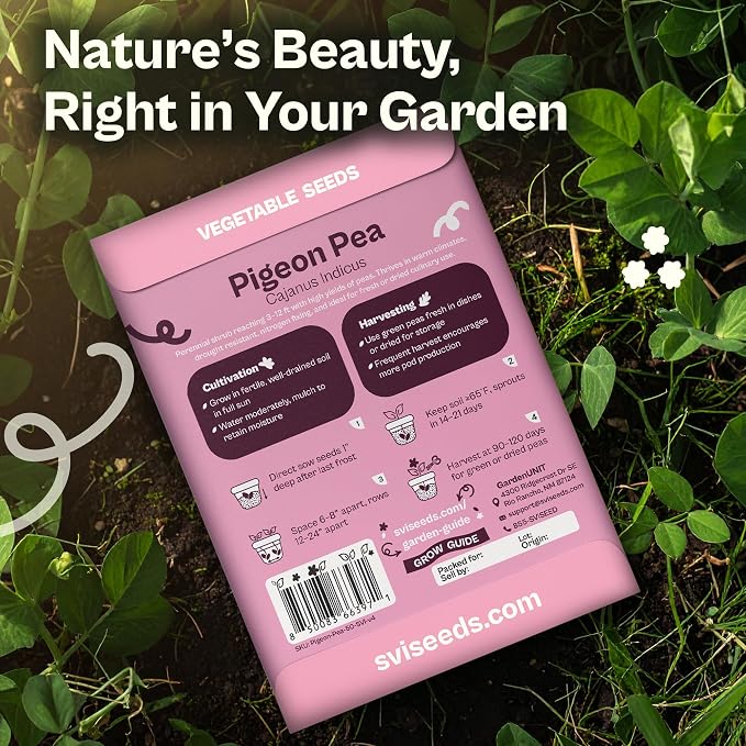 SVI 50 Gandules Pigeon Peas Seeds (Cajanus indicus) - Gungo peas, Congo Pea, Drought Resistant & Nitrogen-Fixing, Open-Pollinated - Heirloom Vegetable Seeds for Outdoor Garden, Raised Beds