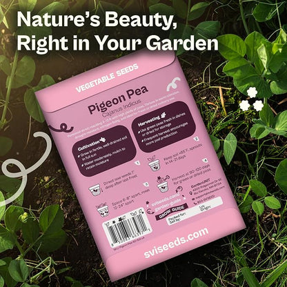 SVI 50 Gandules Pigeon Peas Seeds (Cajanus indicus) - Gungo peas, Congo Pea, Drought Resistant & Nitrogen-Fixing, Open-Pollinated - Heirloom Vegetable Seeds for Outdoor Garden, Raised Beds