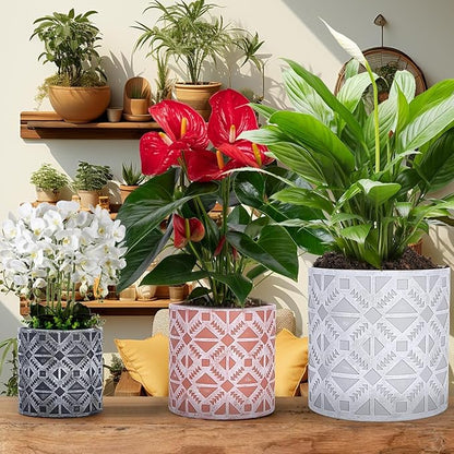 lokeisna Plant Pots, Set of Indoor Plant pots, Plastic Planter with Drainage and Saucer, Modern Distinctive Self Watering Plant Pot, Spray Spots (Indoor Plant Pots)