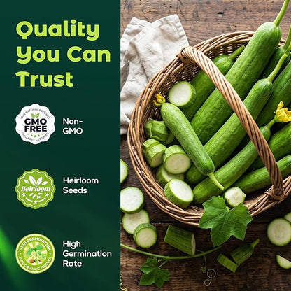 50 Heirloom Luffa Gourd Seeds for Planting – Fast-Growing Sponge Gourd, High Germination, Ideal for Home Garden & Trellis, Annual Vegetable Seeds