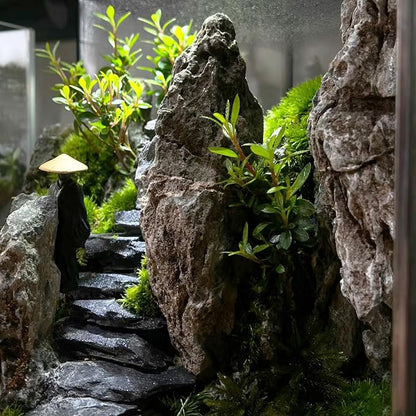 Natural Rocks Slate Stone 1-2 Inches Decorative Stones for Miniature Landscaping,Fairy Gardens,Bonsai,DIY Crafts,Aquariums & Reptile Terrariums-1lb