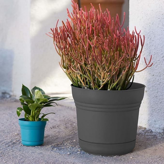 Bloem Saturn Round Planter with Saucer Tray: 12" - Charcoal - Durable Plastic Pot, Matte Finish, Removable Saucer, for Indoor & Outdoor Use, Gardening, 3 Gallon Capacity