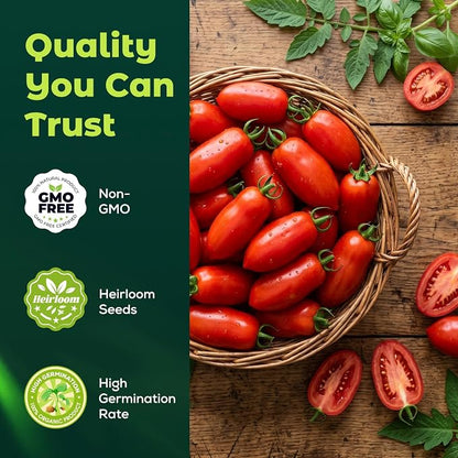 400 Heirloom San Marzano Tomato Seeds for Planting – Paste Tomato, Roma-Type, High Germination, Ideal for Home Garden, Sauce Making & Container