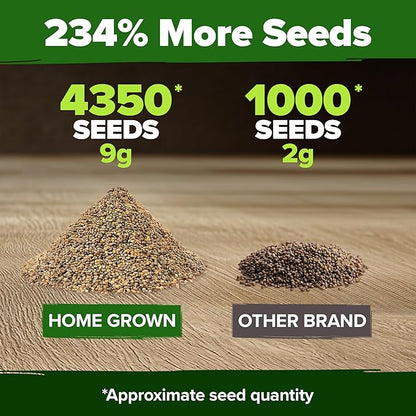 HOME GROWN Arugula Roquette Seeds 4350+ Bulk Pack Heirloom Non-GMO, High Germination, Peppery Salad Greens, Indoor Outdoor Hydroponic Garden, Microgreens, Year-Round Harvest (Eruca vesicaria)