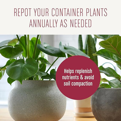 Miracle-Gro Houseplant Potting Mix, for Indoor Container Plants, Feeds for up to Six Months, 4 qt. (3-Pack)