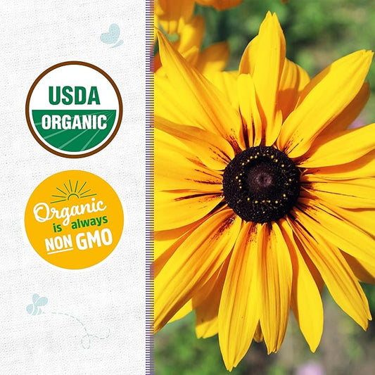 Back to The Roots 100% Organic Heirloom Seeds - Daisy Flower Value Pack (600mg Total)