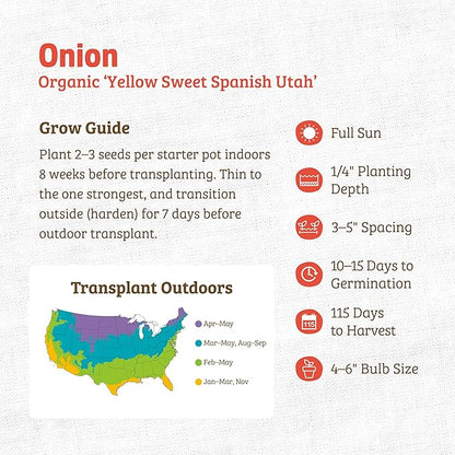 Back to The Roots 100% Organic Heirloom Seeds - Yellow Onion Value Pack (400mg Total)
