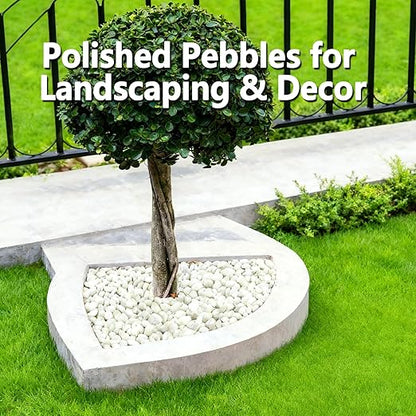 15LB White Rocks, High Polished 1–2 inch Decorative Rocks for Plants, Lava Rocks for Plants, White Pebbles for Indoor Plants, Aquarium & Fish Tank Rocks,Garden Landscaping River Stones