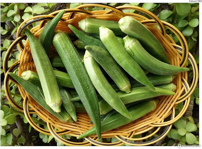 Seeds Louisiana Green Okra (Bamia, Lady Finger) Heirloom Vegetable Non GMO