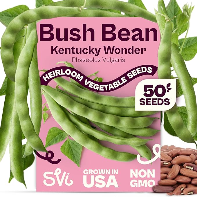 SVI 50 Kentucky Wonder Bush Bean Seeds (Phaseolus vulgaris) – Green Beans Seed Packets, Pole Beans – Heirloom Vegetable Seeds for Outdoor, Vegetable Garden, Containers