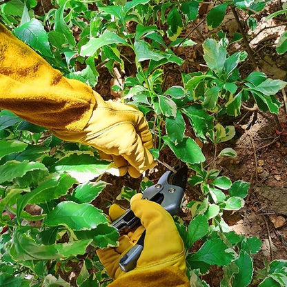 KINDE Gardening Gloves Women/Men - Thorn Proof Cowhide Leather Rose/Blackberry Pruning Long Forearm Protection Gauntlet