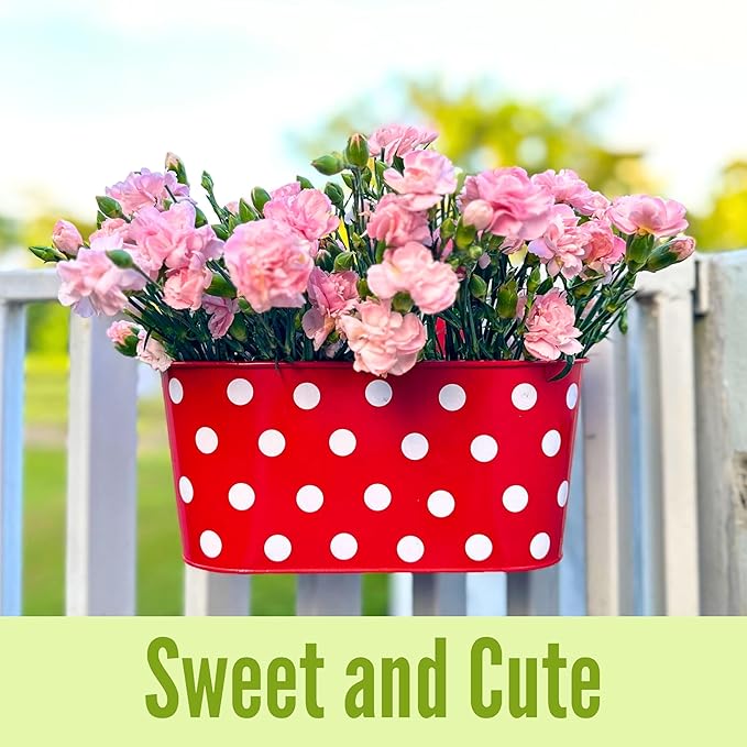 LaLaGreen Outdoor Hanging Planter (11.2 Inch, 6 Pack) Light Purple, Green, Yellow, Cadet Blue, Dark Pink, Red Metal Iron Colorful Window Boxes Polka Dot Flower Pot Deck Railings Fence Rail Porch Decor