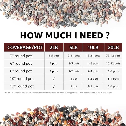 2lbs Natural Gravel Pebbles for Succulents and Cacti, 1/5 Inch Decorative River Stones – Perfect for Vases, Aquariums, Terrariums, and Outdoor Gardening, Mixed Colors (Mixed, 2 Pounds)