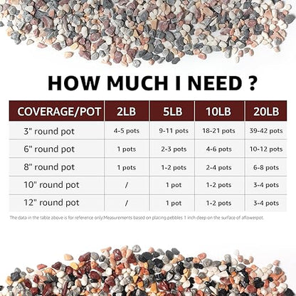 2lbs Natural Gravel Pebbles for Succulents and Cacti, 1/5 Inch Decorative River Stones – Perfect for Vases, Aquariums, Terrariums, and Outdoor Gardening, Mixed Colors (Mixed, 2 Pounds)