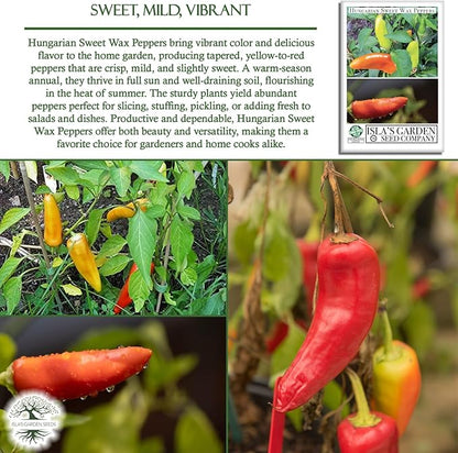 Hungarian Sweet Wax Pepper Seeds (Capsicum annuum) – 100+ Heirloom Non-GMO Seeds by Isla's Garden Seeds, Mild and Flavorful Peppers, Ideal for Fresh Eating, Pickling & Cooking, Great Gardening Gift