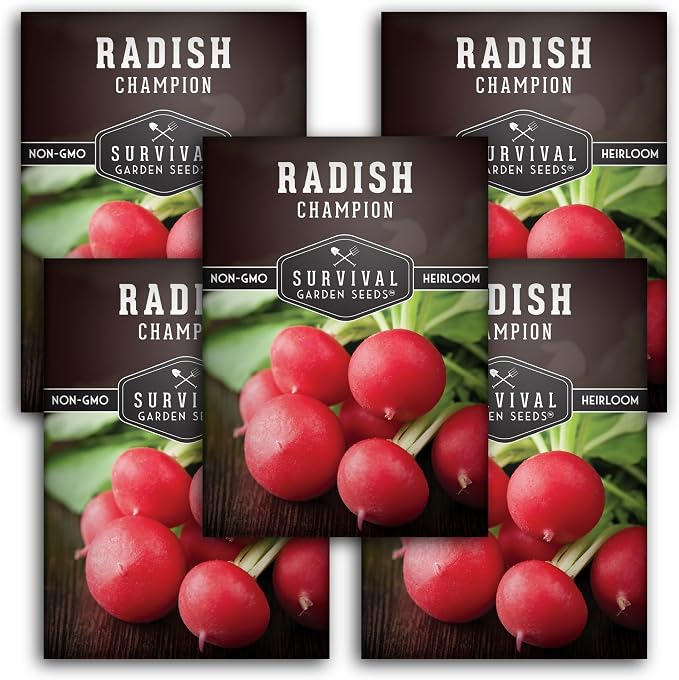 Champion Radish Seeds for Planting – Fast Growing Heirloom for Spring & Fall Gardens – Large Round Red Radishes, White Flesh – Heat & Cool Weather Hardy – Survival Garden Seeds (5 Packs)