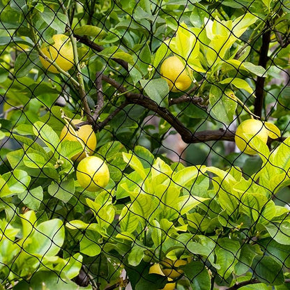 Bird Net 25'x50' with 1" Mesh Nylon Bird Netting for Garden, Poultry Netting Heavy Duty Aviary Netting Chicken Coop Netting, Garden Netting Deer Fence Netting for Fruit Tree, Pests Trellis Net