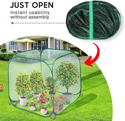 MIAOKE 2 Pack Pop Up Mesh Plant Cover, 35.4x35.4x38.2 Inch No Build Protection Against Insects Garden Netting, Raised Bed Cover for Barrier Against Insects for Vegetable Plant Fruit Animals