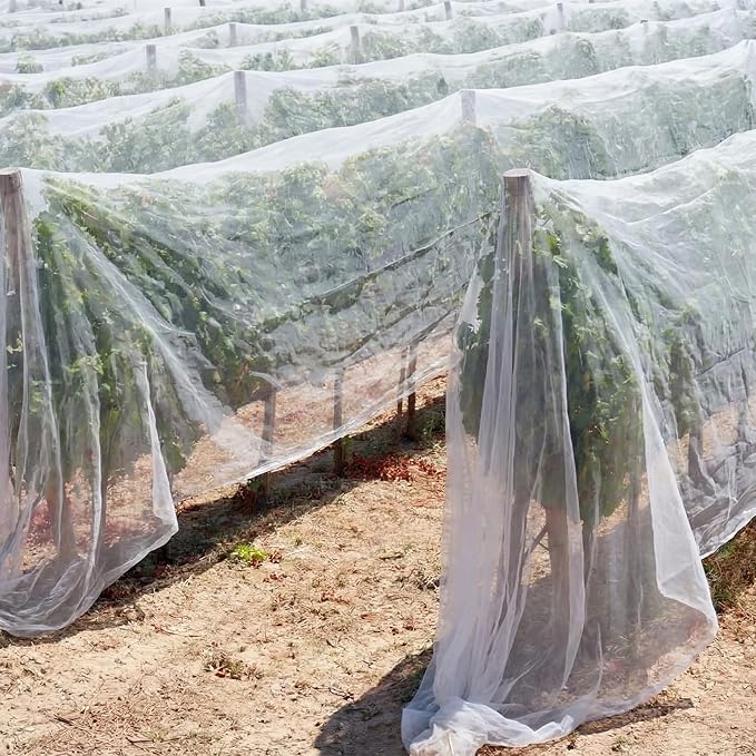 Garden Insect Netting for Raised Beds Extra Large Fruits Tree Netting Pest Barrier White Ultra Fine Mesh Row Bed Covers Net for Vegetable Fruit Protection from Insect Bird Animals(12 x 50 ft)