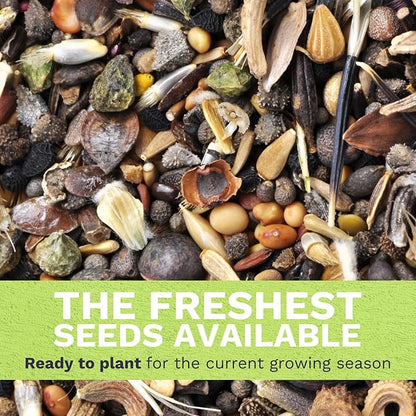 Rocky Mountain Regional Mix - Bulk 1/4 Pound Pouch - 100,000 Flower Seeds for Planting - Wildflower Mix