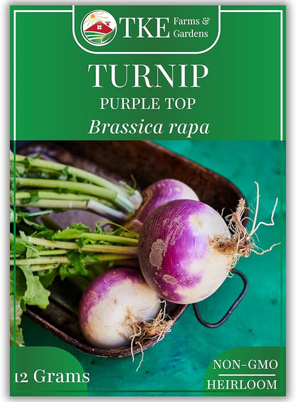 TKE Farms & Gardens - Purple Top Turnip Seeds for Planting, 12 Grams, 5000 Heirloom Seeds, Non-GMO, Packet Includes Instructions for Growing, Brassica rapa, Qty 1