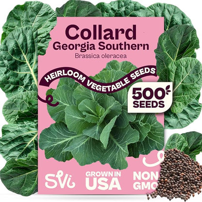 SVI 500 Georgia Southern Collard Green Seeds (Brassica oleracea) – Collard Greens Seed Packets, Heat and Cold Tolerant Collards – Vegetable Seeds for Outdoor Vegetable Garden, Raised Beds