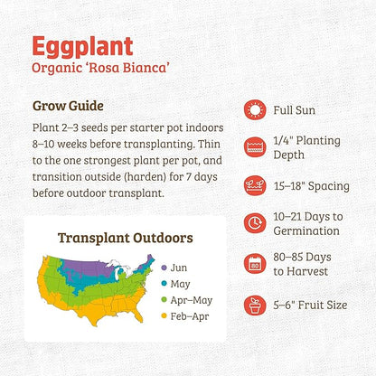 Back to The Roots 100% Organic Heirloom Seeds - Eggplant 'Guinea Squash' Value Pack (280mg Total)