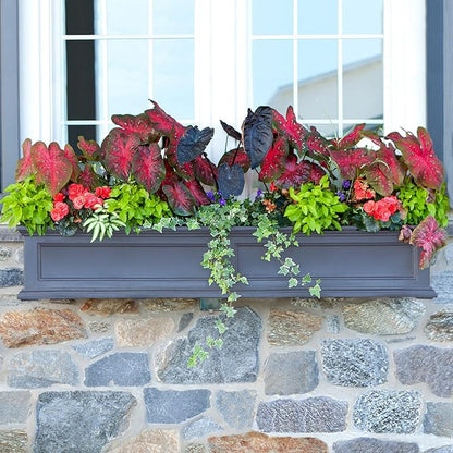 Mayne Fairfield 5ft Window Box, Self Watering Flower Box with Double Wall Design, All Season Fade Resistant Outdoor Window Planter with Steel Mounting Bracket, Graphite Grey