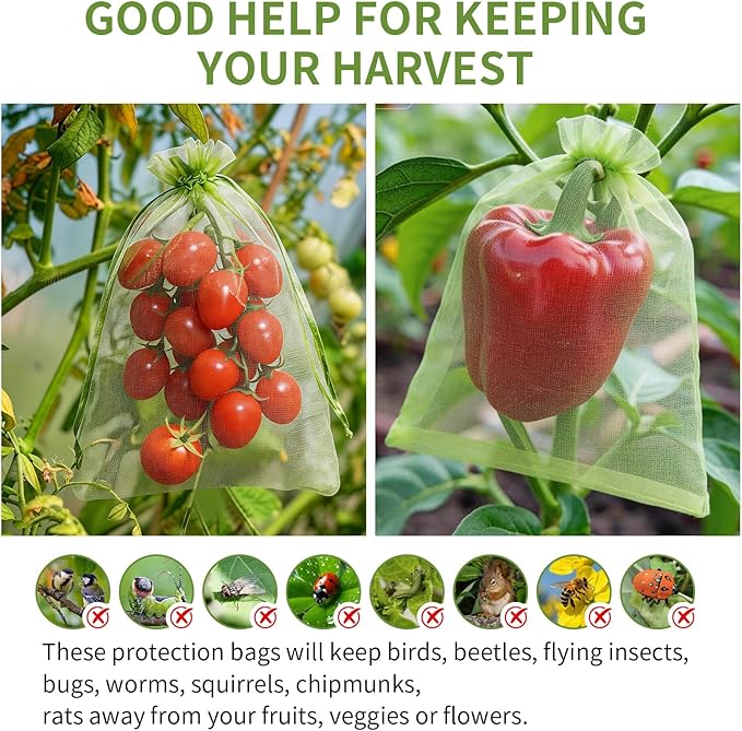 GliSun 100Pcs Fruit Protection Bags 6x9 Inch, Green Mesh Netting Cover with Drawstring Pest Barrier for Grapes Tomato Strawberry Blueberry - Garden Supplies for Vegetables & Fruit Trees