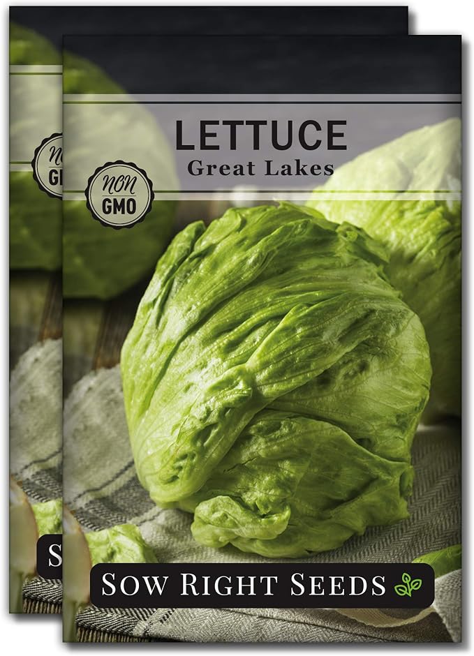 Sow Right Seeds - Great Lakes Iceberg Lettuce Seeds for Planting - Non-GMO Heirloom Packet with Instructions to Plant a Home Vegetable Garden - Outdoors or Hydroponics Indoors - Crisp Variety (2)