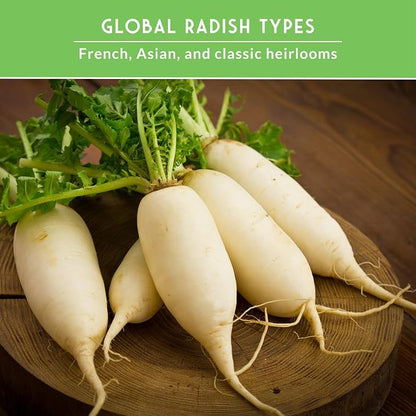 Radish Seeds Variety Pack – 5 Packets | Heirloom Non-GMO Radishes for Planting: Daikon, Watermelon, Purple Plum, French Breakfast & Champion – Survival Garden Seeds
