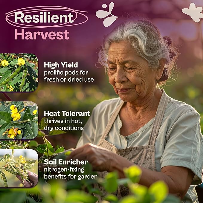 SVI 50 Gandules Pigeon Peas Seeds (Cajanus indicus) - Gungo peas, Congo Pea, Drought Resistant & Nitrogen-Fixing, Open-Pollinated - Heirloom Vegetable Seeds for Outdoor Garden, Raised Beds