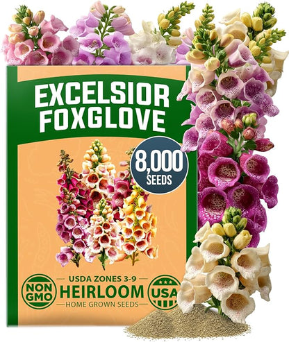 HOME GROWN Foxglove Seeds Mix 8000 (0.8g) Excelsior 2026 Spring for Planting Flower Seeds – Mixed Colors Wildflowers Bulk, Perennial Flower Seeds Packets, Cottage Garden (Digitalis purpurea)