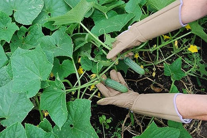 Magid Glove & Safety Professional Rose Pruning Thorn Resistant Gardening Gloves with Long Forearm Protection for Women (BE195TS) - Puncture Resistant, Small (1 Pair)