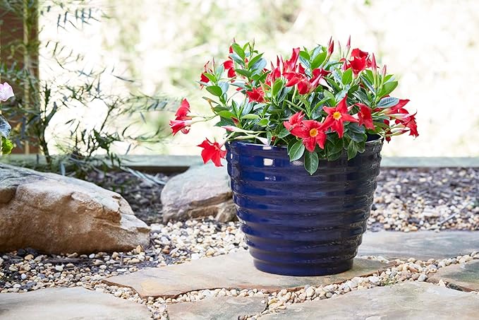 Southern Patio 14" Beehive Resin Indoor Pot Planter, 19.03 qt. Capacity