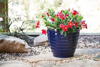 Southern Patio 14" Beehive Resin Indoor Pot Planter, 19.03 qt. Capacity