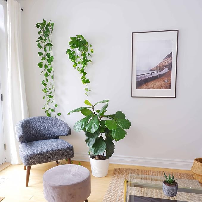 Make Good Virgo Wall Planters (Geometric, Set of 3) - Easy to Install and Water - Lightweight - Design Your Own Vertical Garden - Melamine Plastic