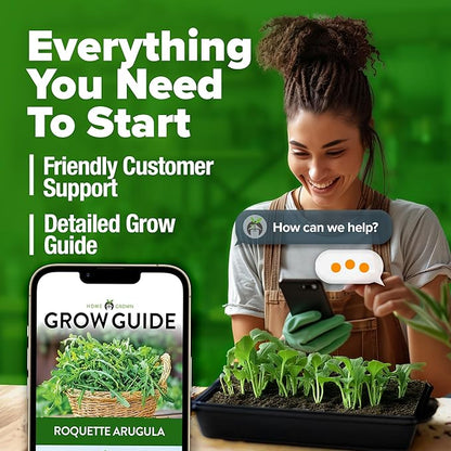 HOME GROWN Arugula Roquette Seeds 2,175+ Heirloom Non-GMO Seeds for Planting, High Germination, Fast Growing Peppery Salad Greens, Indoor Outdoor Hydroponic Garden, Microgreens (Eruca vesicaria)