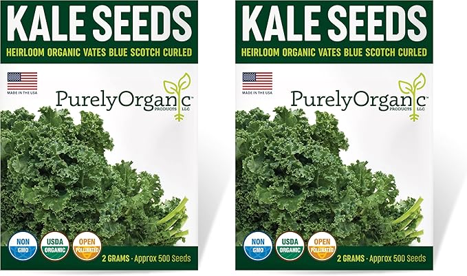 Organic Kale Seeds (Vates Blue Scotch Curled) - Approx 500 Seeds - USDA Organic, Non-GMO, Open Pollinated, Heirloom, USA Origin (Pack of 2)