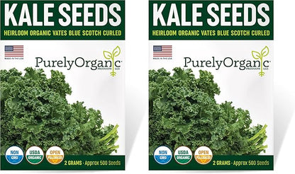 Organic Kale Seeds (Vates Blue Scotch Curled) - Approx 500 Seeds - USDA Organic, Non-GMO, Open Pollinated, Heirloom, USA Origin (Pack of 2)